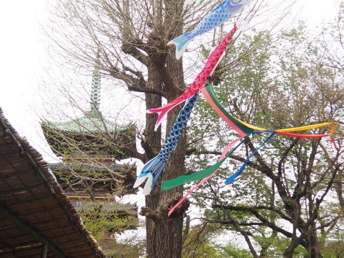 2022.05.17.09ss-blog.jpg