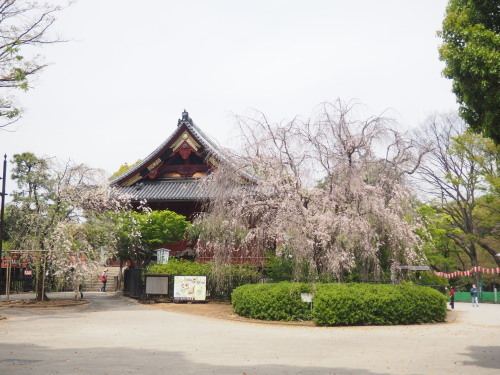 2022.05.20.07ss-blog.jpg