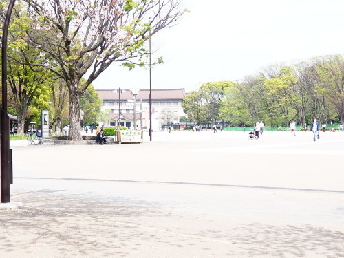 2022.05.23.09ss-blog.jpg
