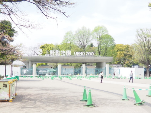 2022.05.23.10ss-blog.jpg