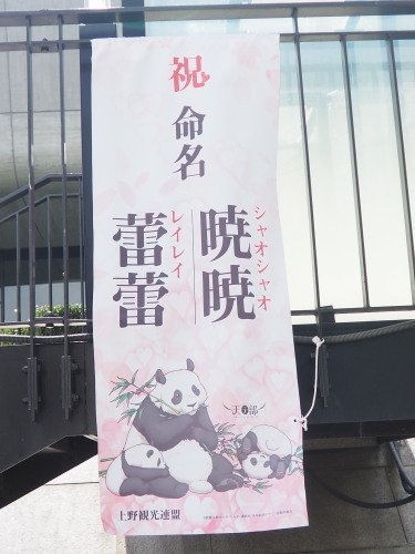 2022.05.23.11ss-blog.jpg
