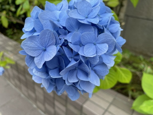 2022.06.20.02ss-blog.jpg