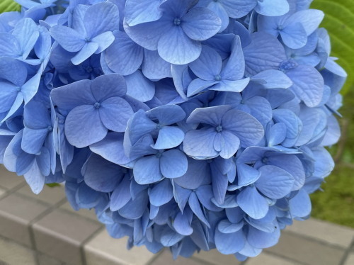 2022.06.20.03ss-blog.jpg