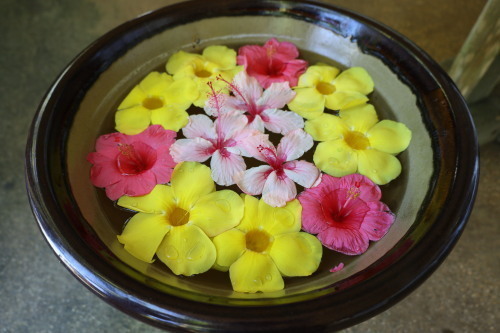 2022.07.05.03ss-blog.jpg