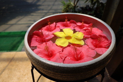 2022.07.05.04ss-blog.jpg