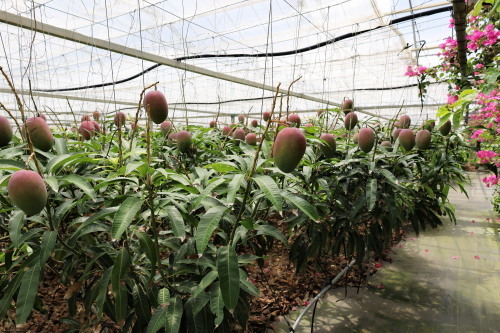 2022.07.05.07ss-blog.jpg