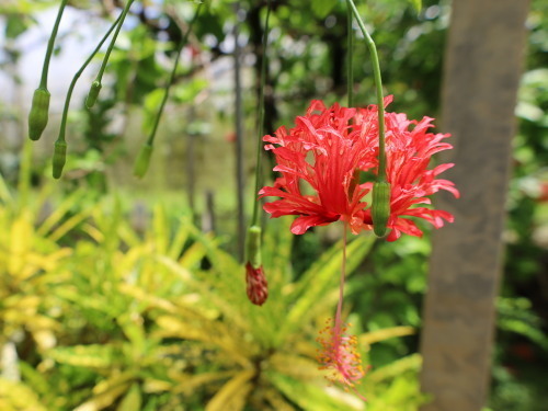 2022.07.05.09ss-blog.jpg