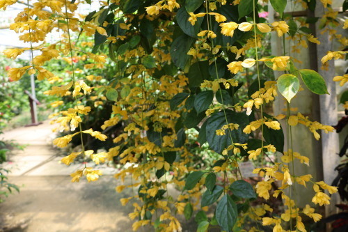 2022.07.05.10ss-blog.jpg