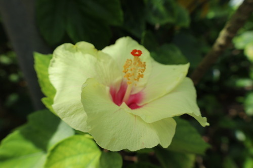 2022.07.05.11ss-blog.jpg