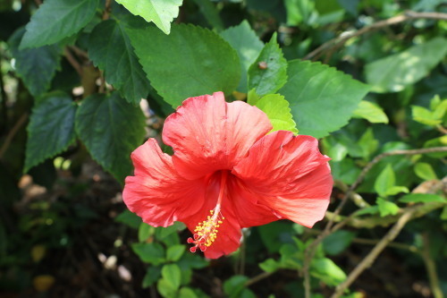 2022.07.05.12ss-blog.jpg