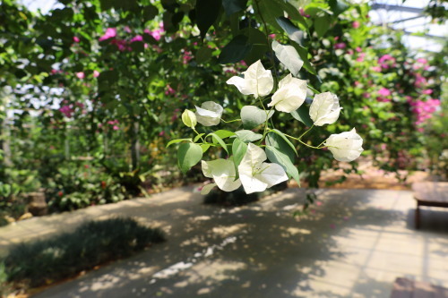 2022.07.05.13ss-blog.jpg
