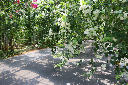2022.07.05.15ss-blog.jpg