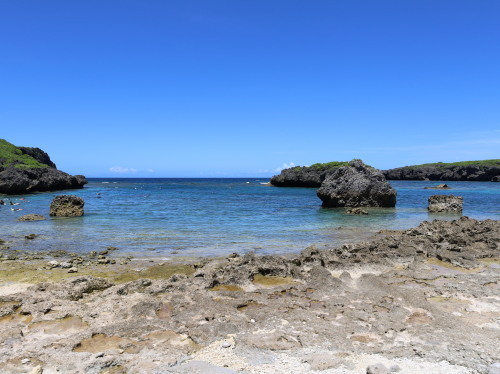2022.07.25.01ss-blog.jpg