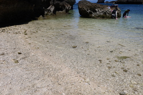 2022.07.25.03ss-blog.jpg