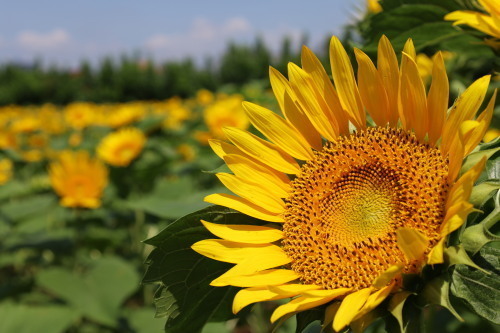 2022.09.02.01ss-blog.jpg