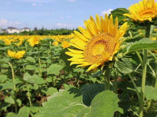 2022.09.02.02ss-blog.jpg