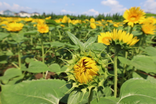 2022.09.02.03ss-blog.jpg