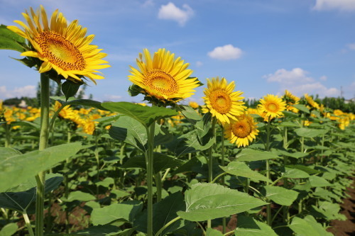 2022.09.02.05ss-blog.jpg