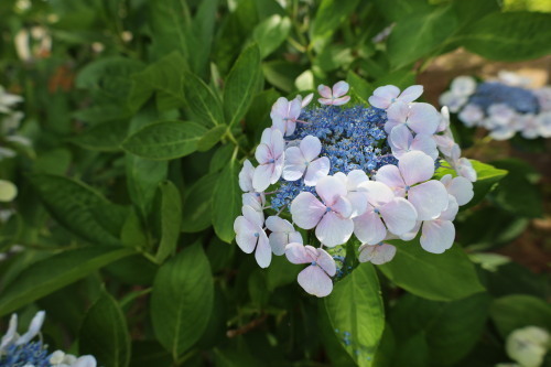 2022.09.26.03ss-blog.jpg