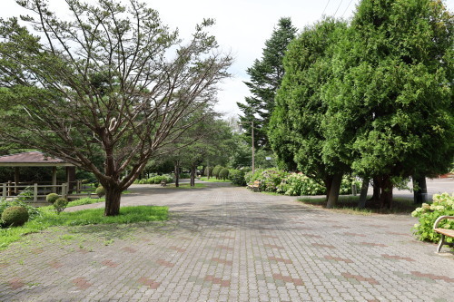 2022.09.26.04ss-blog.jpg