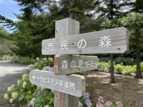 2022.09.26.05ss-blog.jpg
