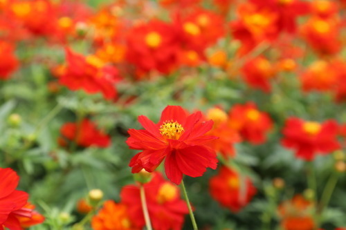 2022.10.05.06ss-blog.jpg
