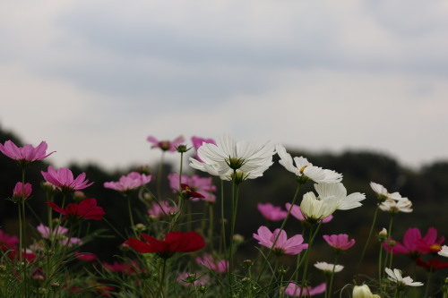 2022.10.05.08ss-blog.jpg
