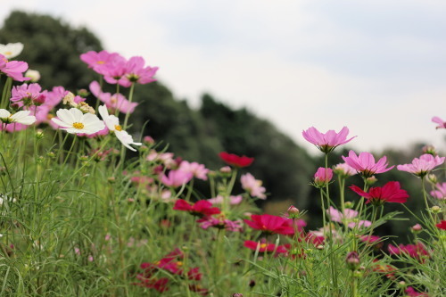 2022.10.05.09ss-blog.jpg