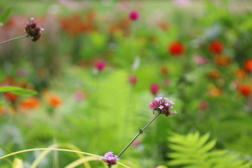2022.10.05.13ss-blog.jpg