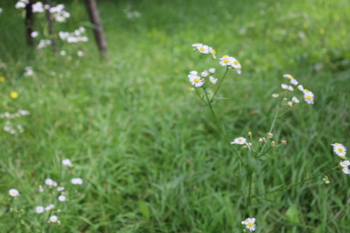 2022.10.11.01ss-blog.jpg