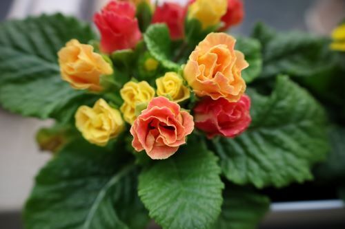 2023.02.05.02ss-blog.jpg