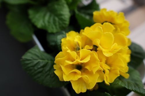 2023.02.05.03ss-blog.jpg