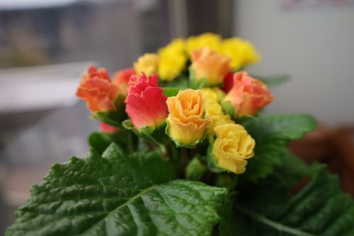 2023.02.05.05ss-blog.jpg
