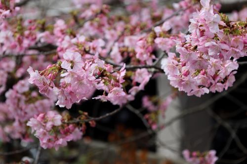 2023.02.17.01ss-blog.jpg