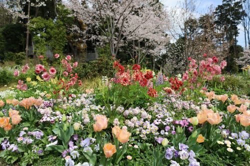 2023.03.31.02ss-blog.jpg