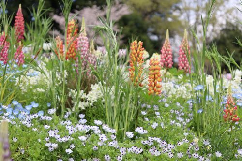2023.03.31.03ss-blog.jpg