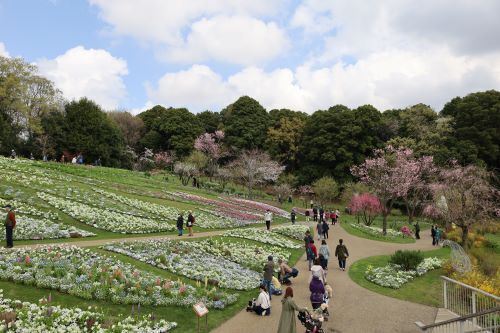 2023.03.31.04ss-blog.jpg
