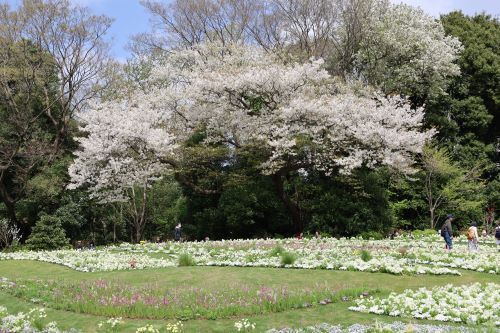 2023.03.31.07ss-blog.jpg