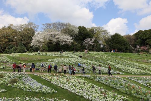 2023.04.04.02ss-blog.JPG
