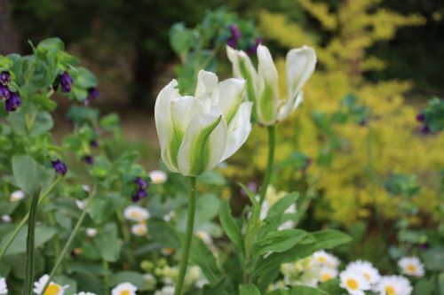 2023.04.15.03ss-blog.jpg