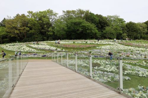 2023.04.15.04ss-blog.jpg