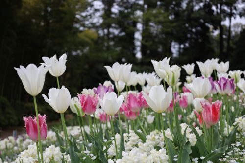 2023.04.15.05ss-blog.jpg