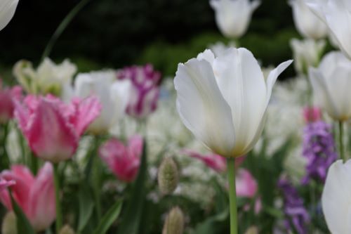 2023.04.15.07ss-blog.jpg