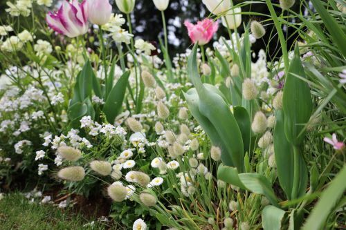 2023.04.15.08ss-blog.jpg