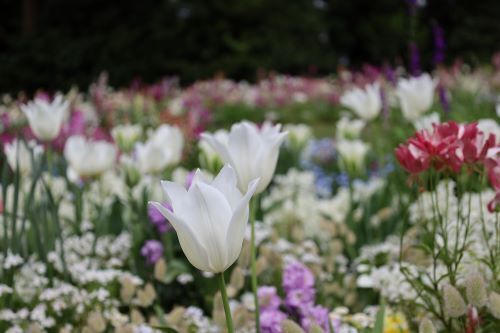 2023.04.15.09ss-blog.jpg