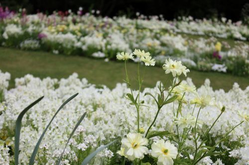 2023.04.15.10ss-blog.jpg