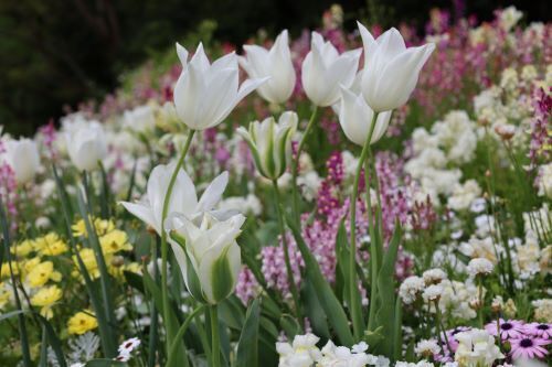2023.04.15.11ss-blog.jpg