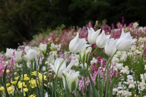2023.04.15.12ss-blog.jpg