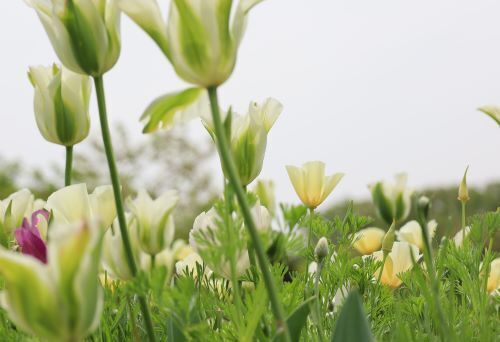 2023.04.20.04ss-blog.JPG