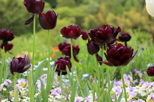 2023.04.20.05ss-blog.JPG